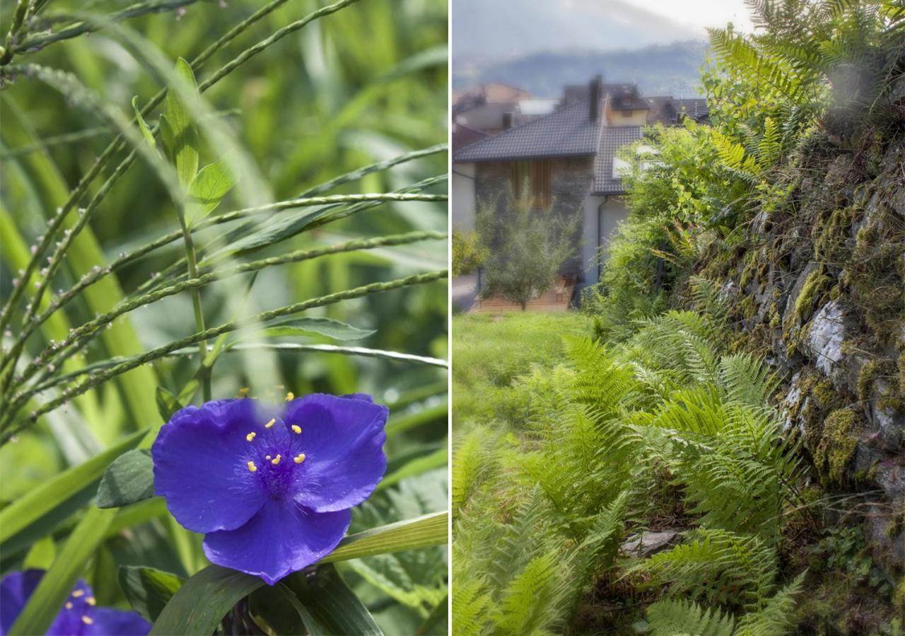 La Barberina Farm stay Calceranica al Lago